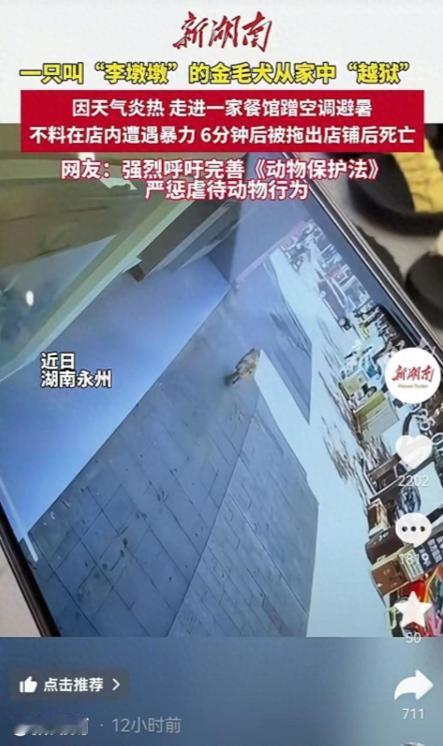 “太过分了！”7月7日，湖南永州，一女子养了一条金毛犬，去外面洗车忘锁家门，金毛