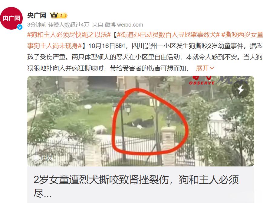 #狗和主人必须尽快绳之以法#    不是武松。一般人不建议养狗。真的不行。 ​​