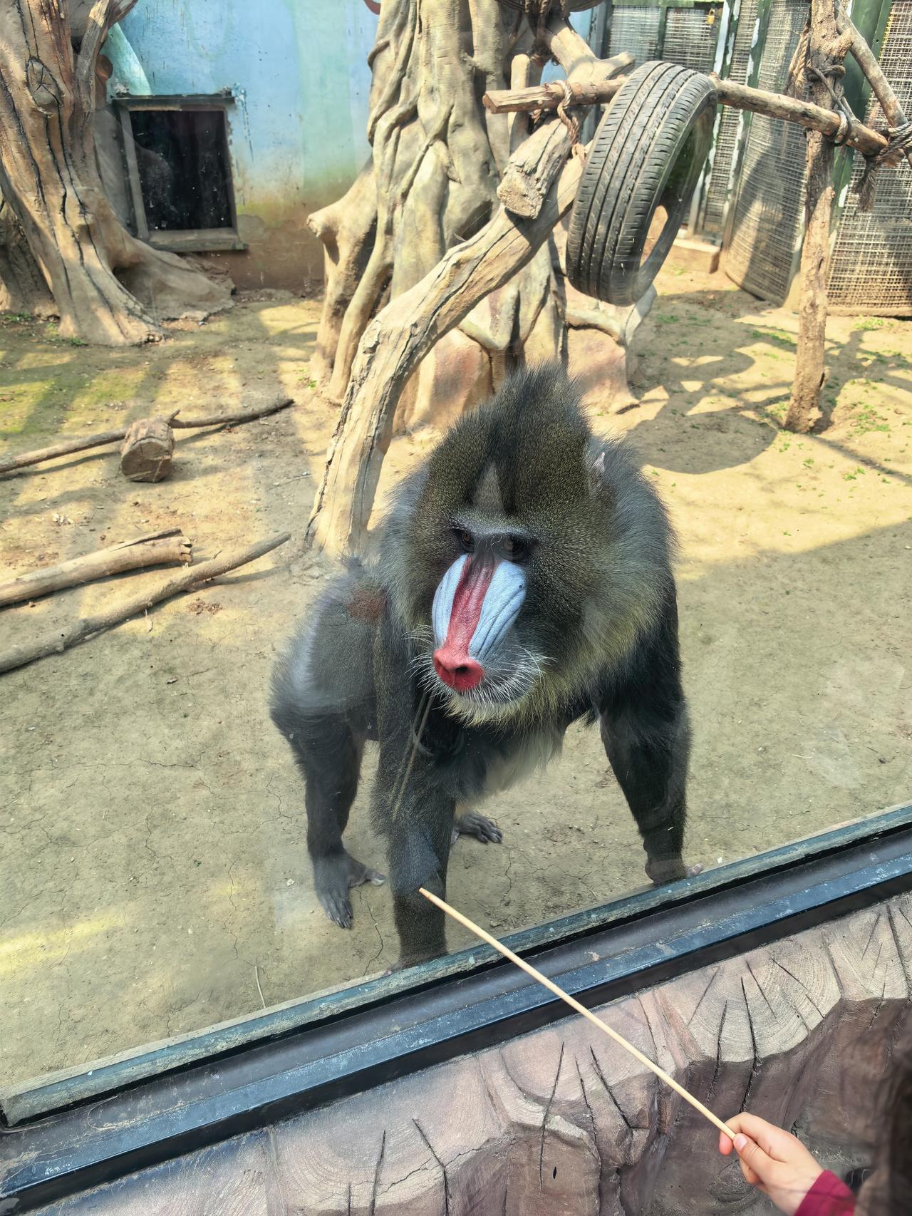 今年春天最想实现的心愿钱难挣，屎难吃