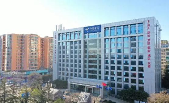 贵州电信去年营收突破100亿大关，发展势头不错。
在贵州三大运营商中，以往是贵州