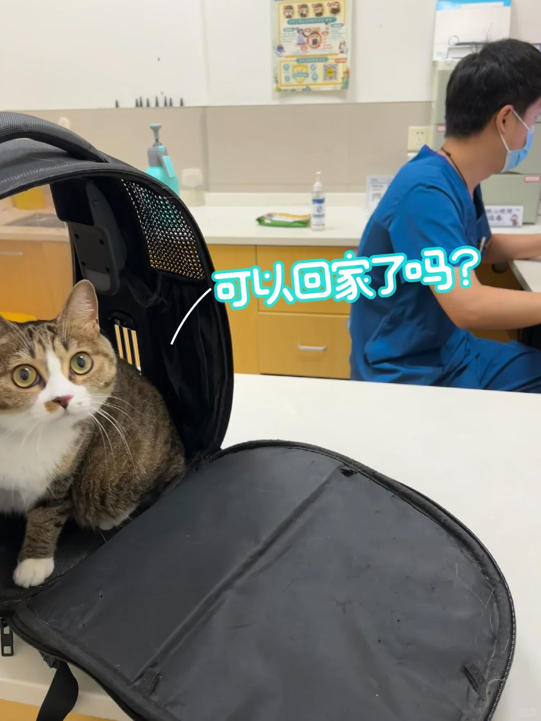 麻麻，啥时候可以回家？