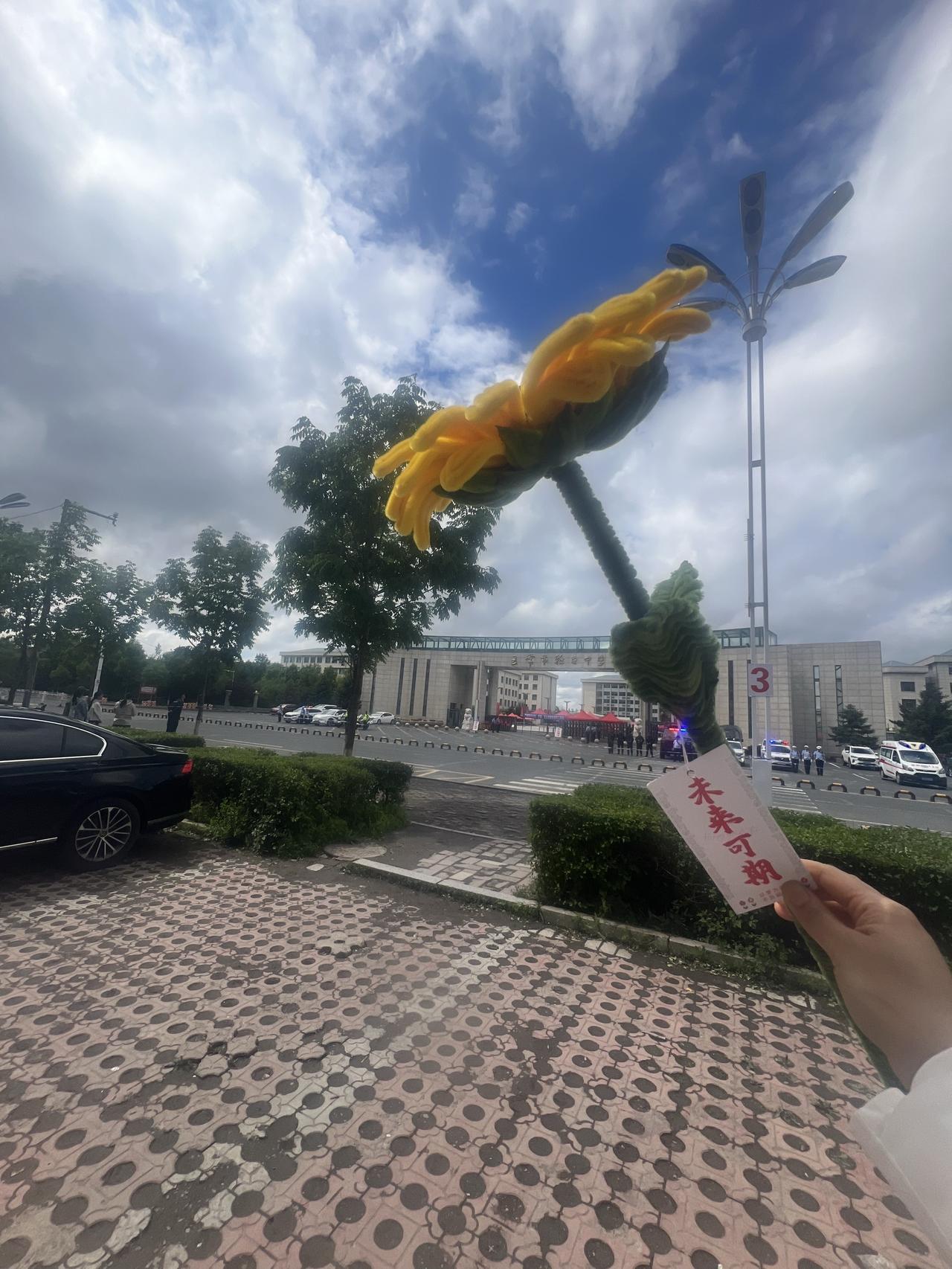 不负韶华 未来可欺！ 小小高考 轻松拿捏。