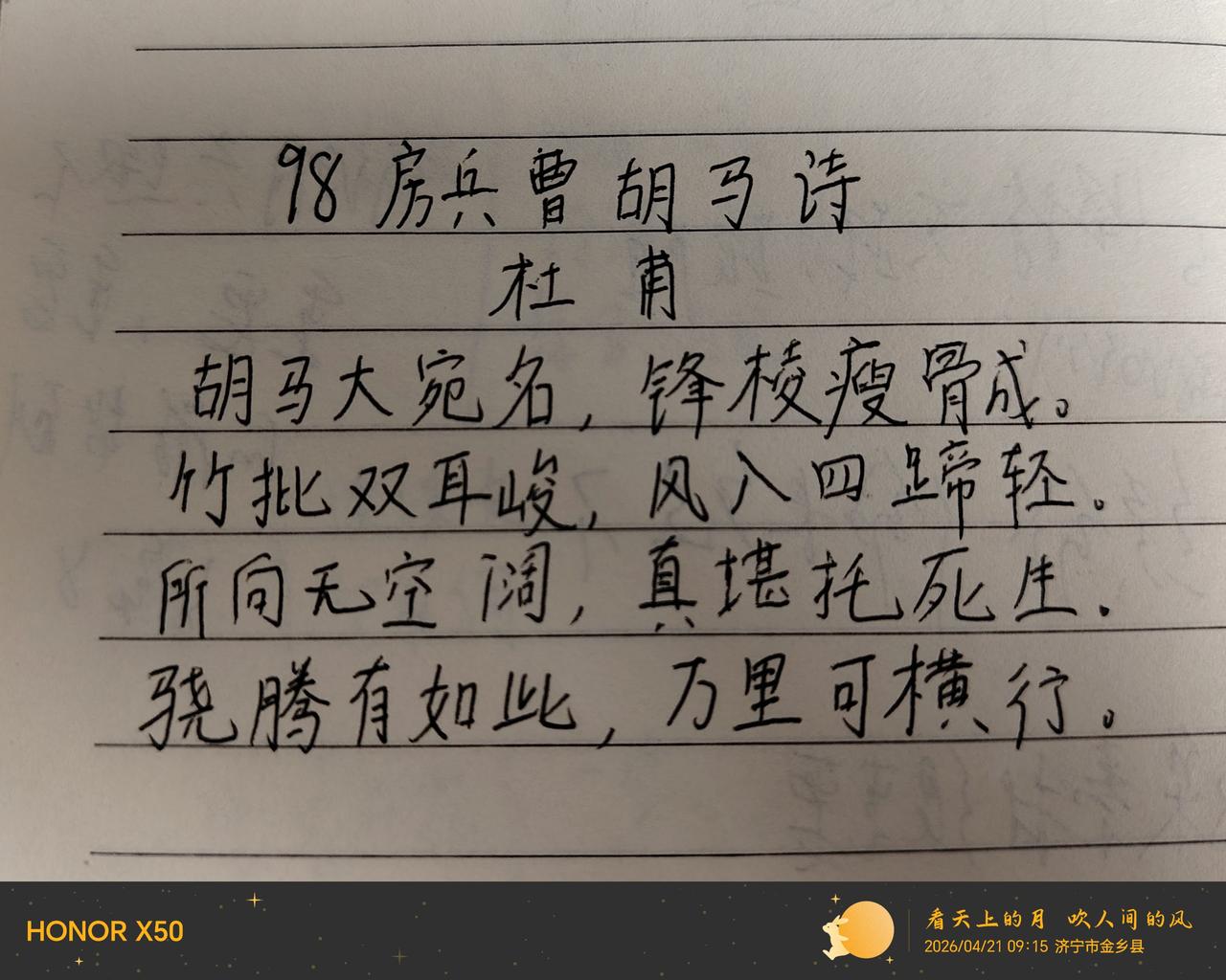 第98天，好马！