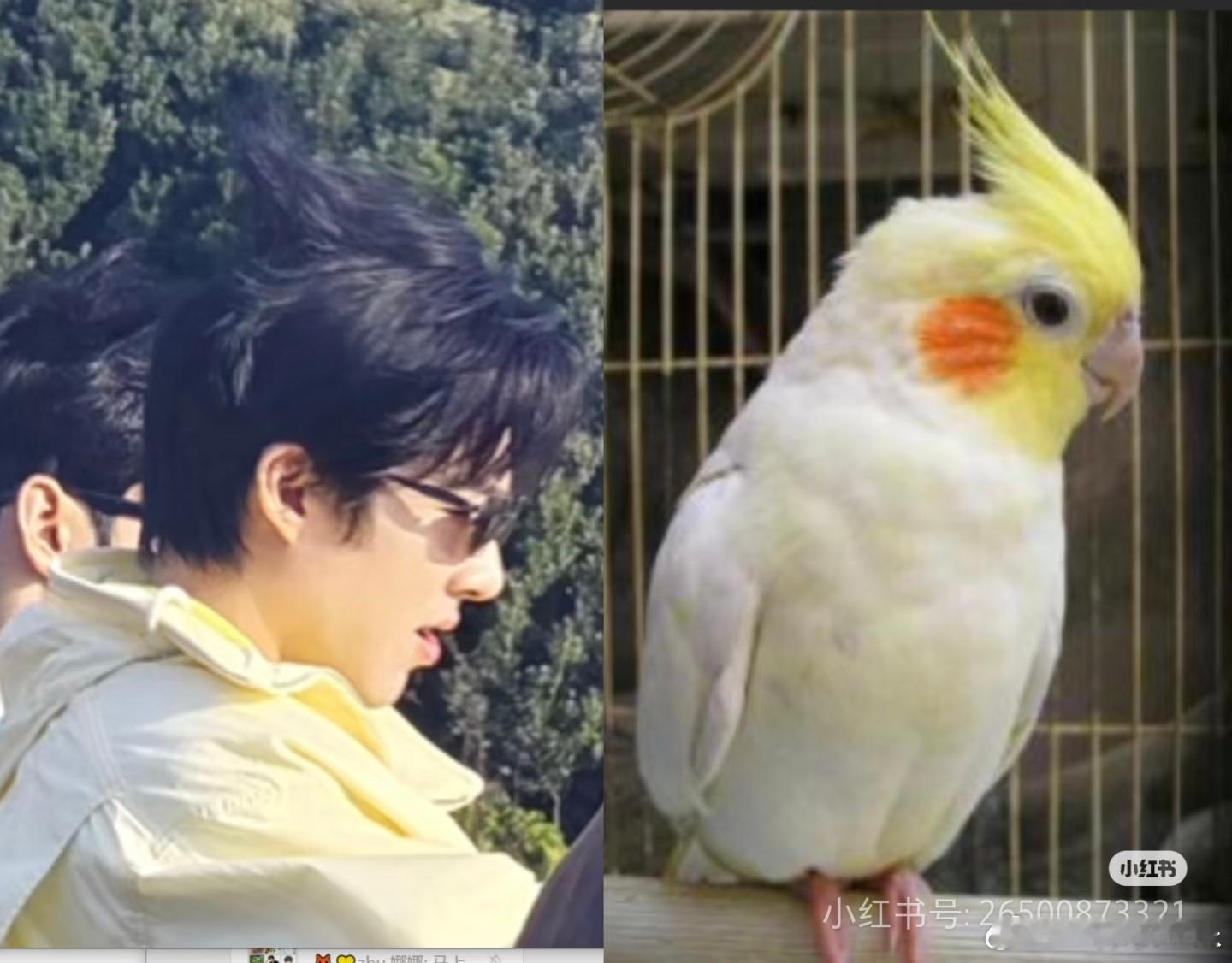 哈哈哈，刘炸毛就服这届网友们的想象力刘宇宁那个油盐不进的男人来了刘宇宁地球超新鲜