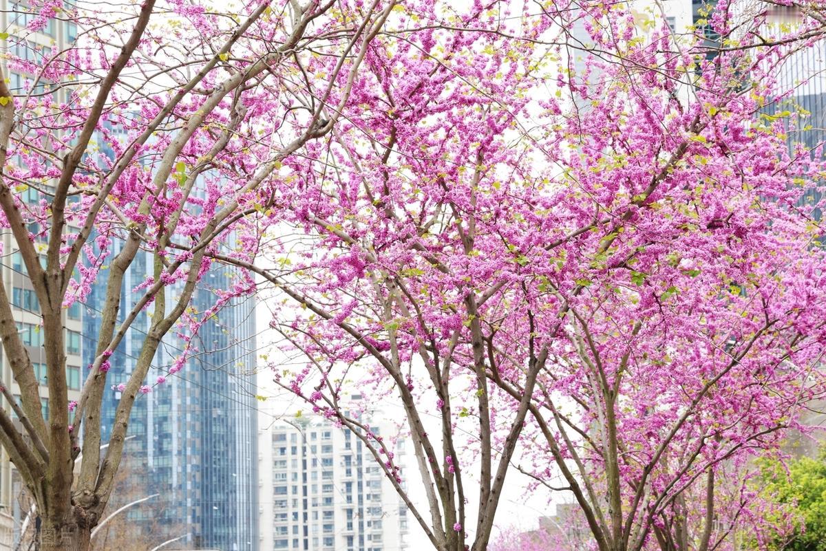 当你对自己微笑时，世上没烦事能纠缠你；当你对自己诚意时，世上没人能欺骗你。爱情就