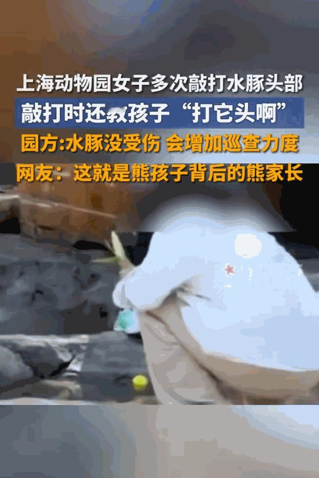 “太气人了！”7月3日，上海一名女子带孩子去动物园玩，竟拿球多次砸水豚的头，还教