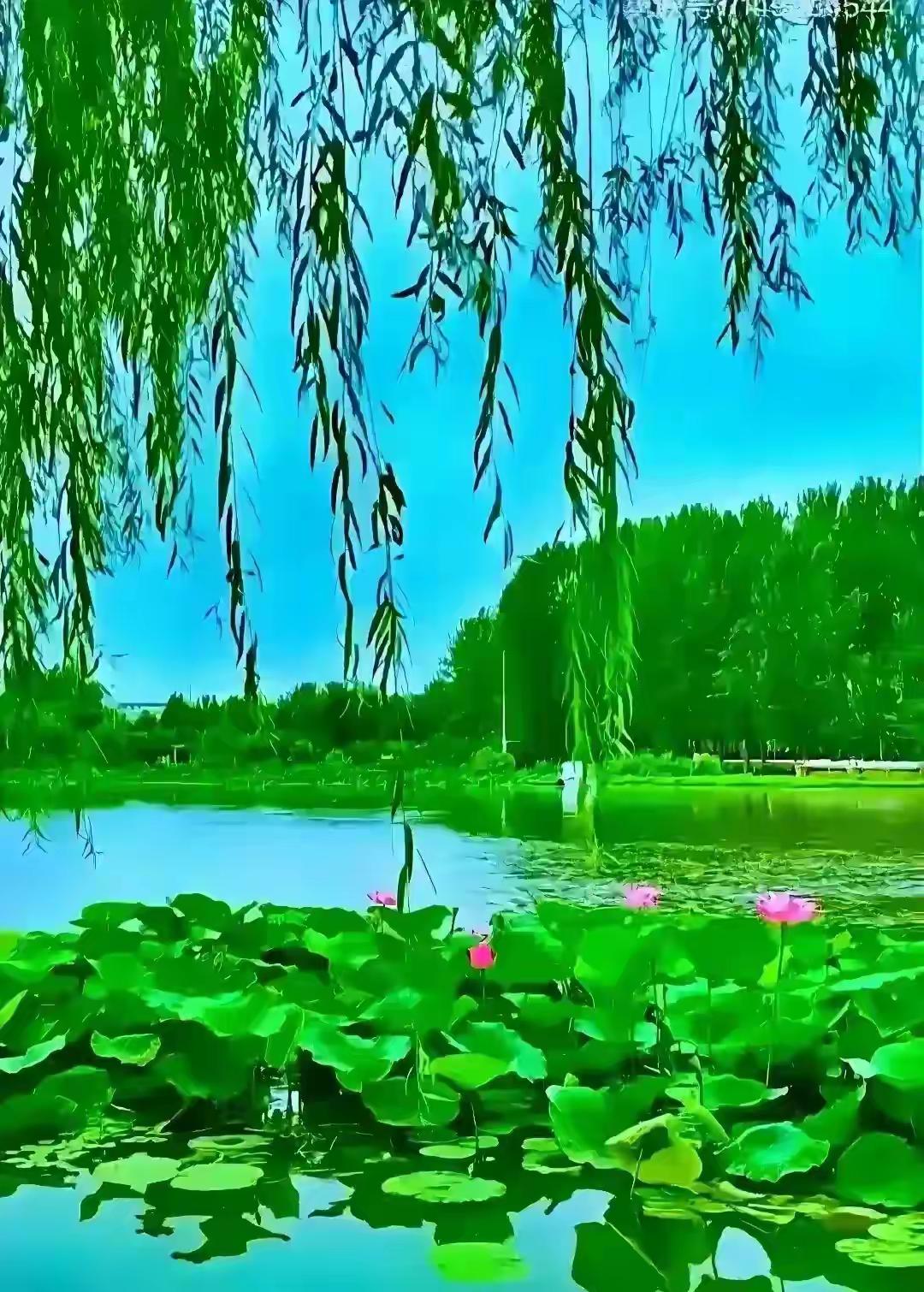 上联：昨夜清风梳绿柳；
下联：今朝细雨润红桃。