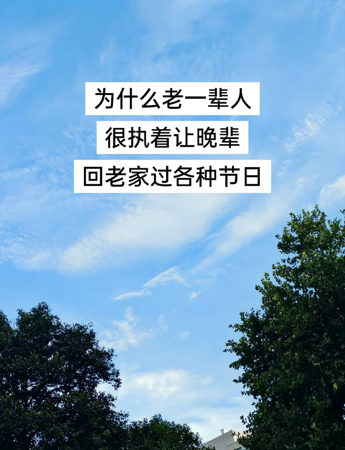 为什么老一子很执着让晚辈回老家过节？ ​​​
