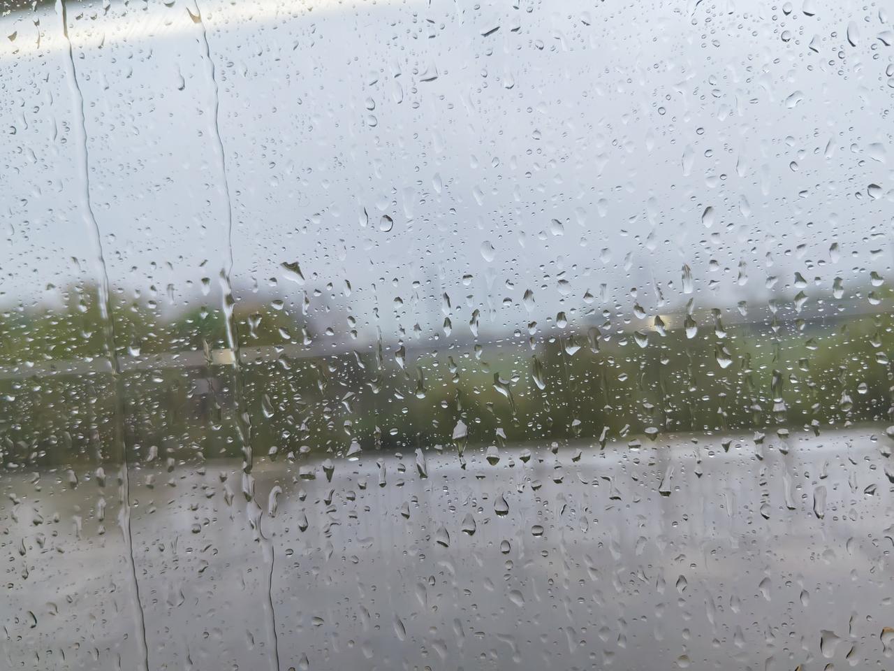 今天周末，上海细雨蒙蒙。我乘坐在“金山铁路”车厢里，望着车窗外沥沥细雨，不由感到