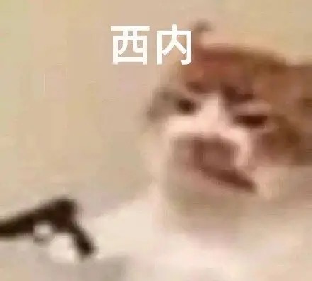 主要是内娱私生到底怎么界定？蹲剧组的时候叫代拍，出图的时候叫站姐，机场送机的时候