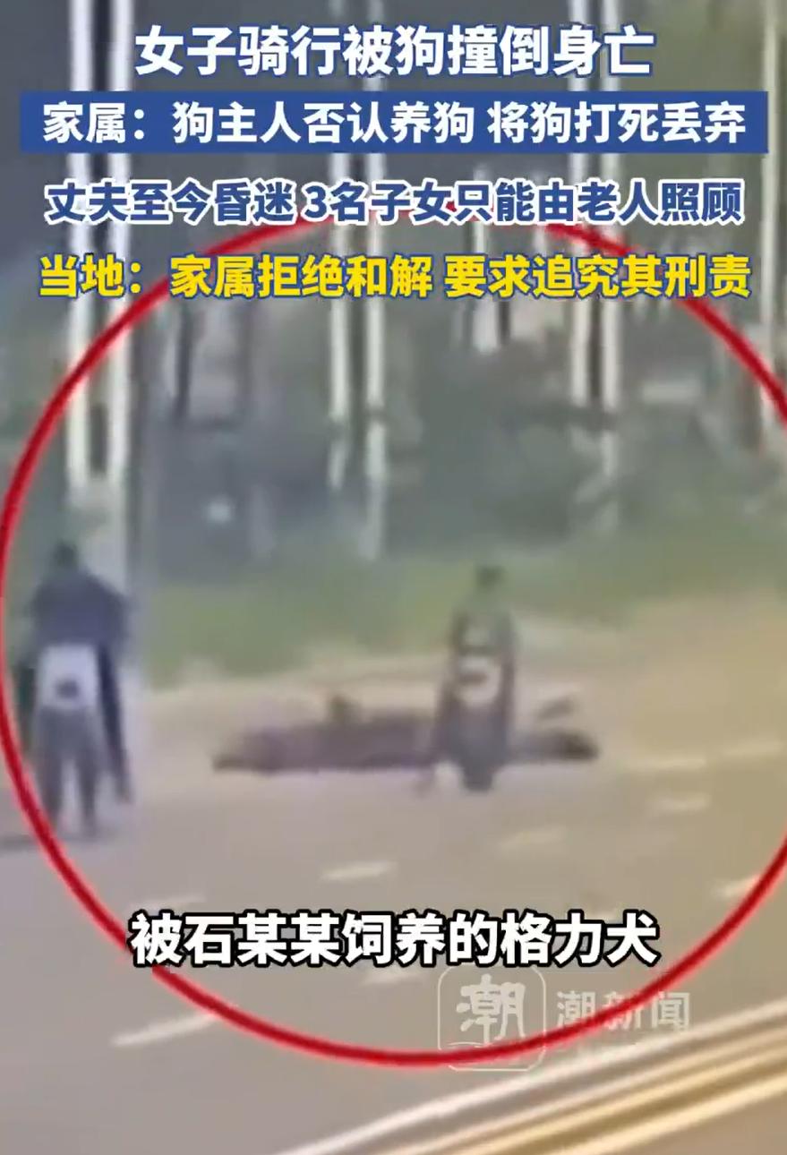 一条狗撞倒一个人，一个家庭的天塌了。
这件事，我想了很久，不知道该怎么开头。
一