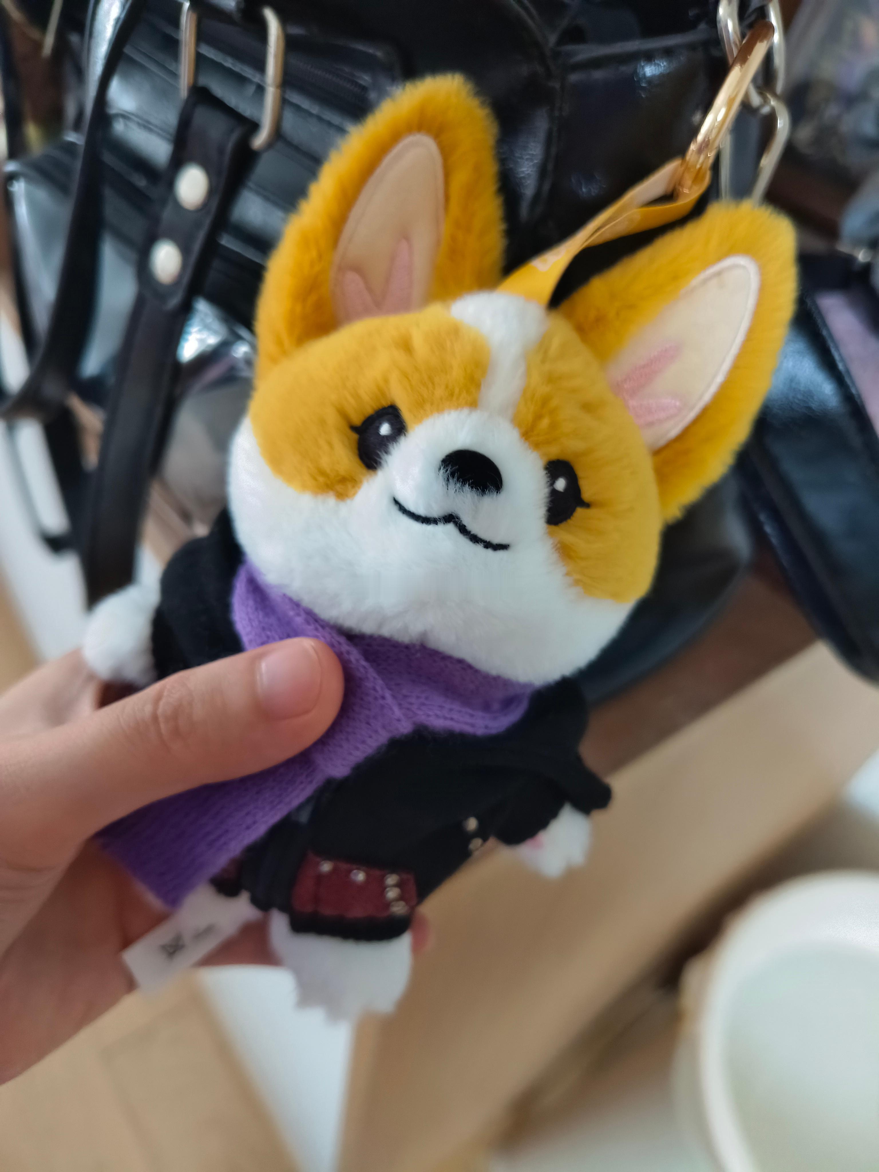 有狗🐶一族。格洛米还是太权威了衣服是船师傅捎来的。配的配的！