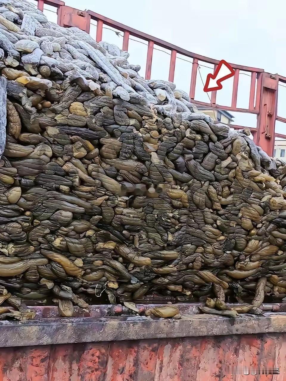 这应该是茄子，就这样装在锈迹斑斑的车上，也没有采取任何的保洁措施，看着的确不是很