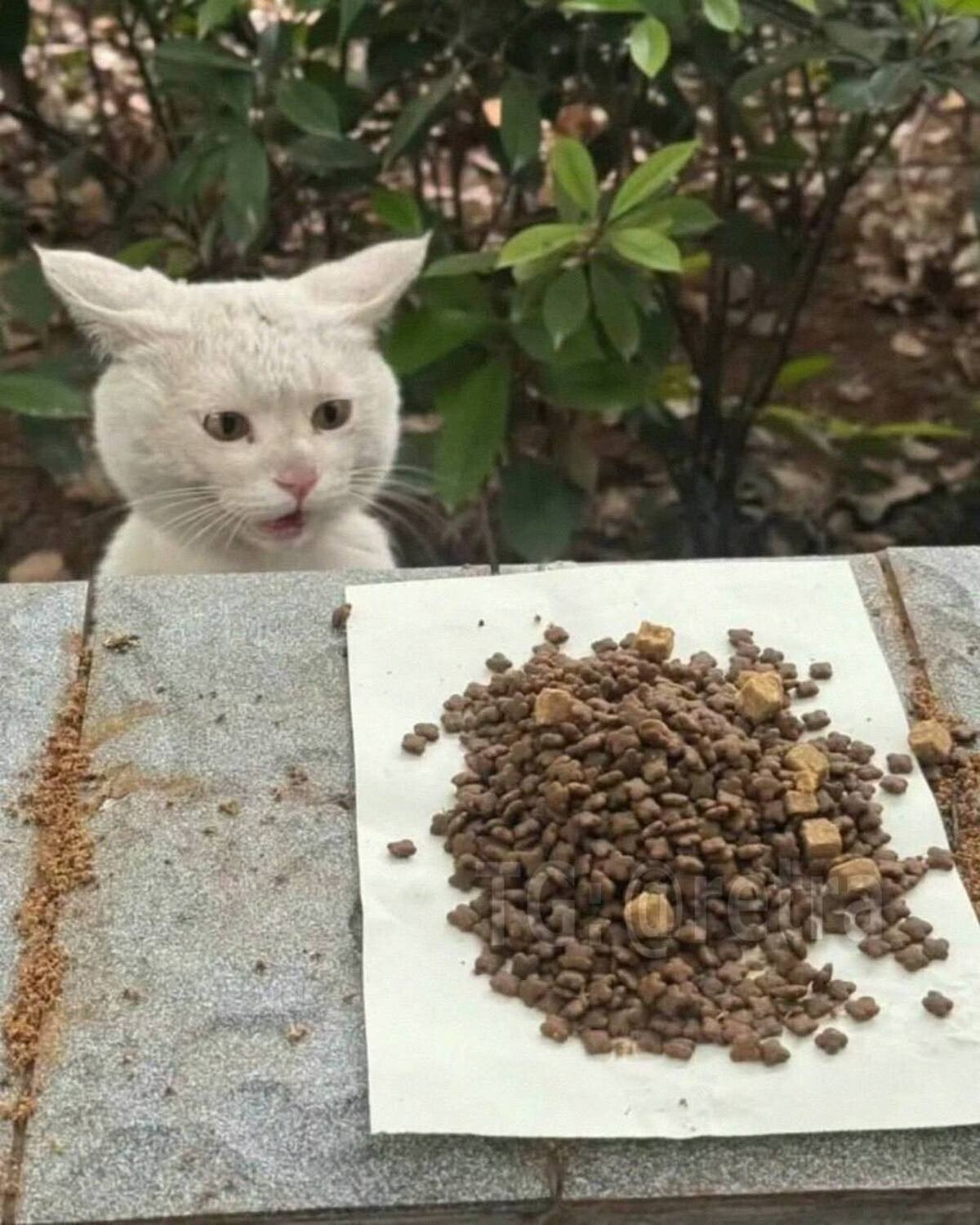 😮 