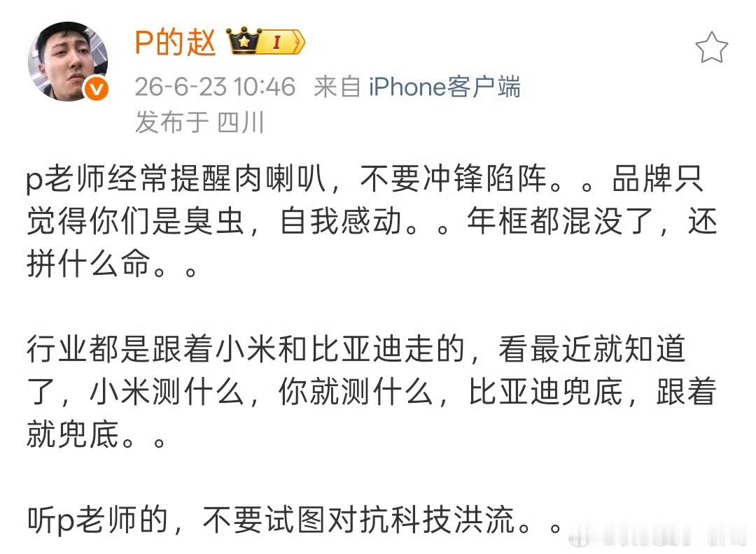 万能的P 