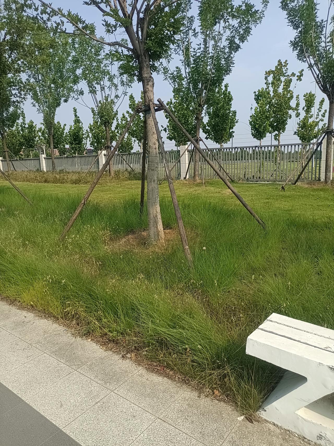 多少老实的男人追姑娘，又是送花又是请客，天天早安晚安嘘寒问暖，把自己感动得够呛，