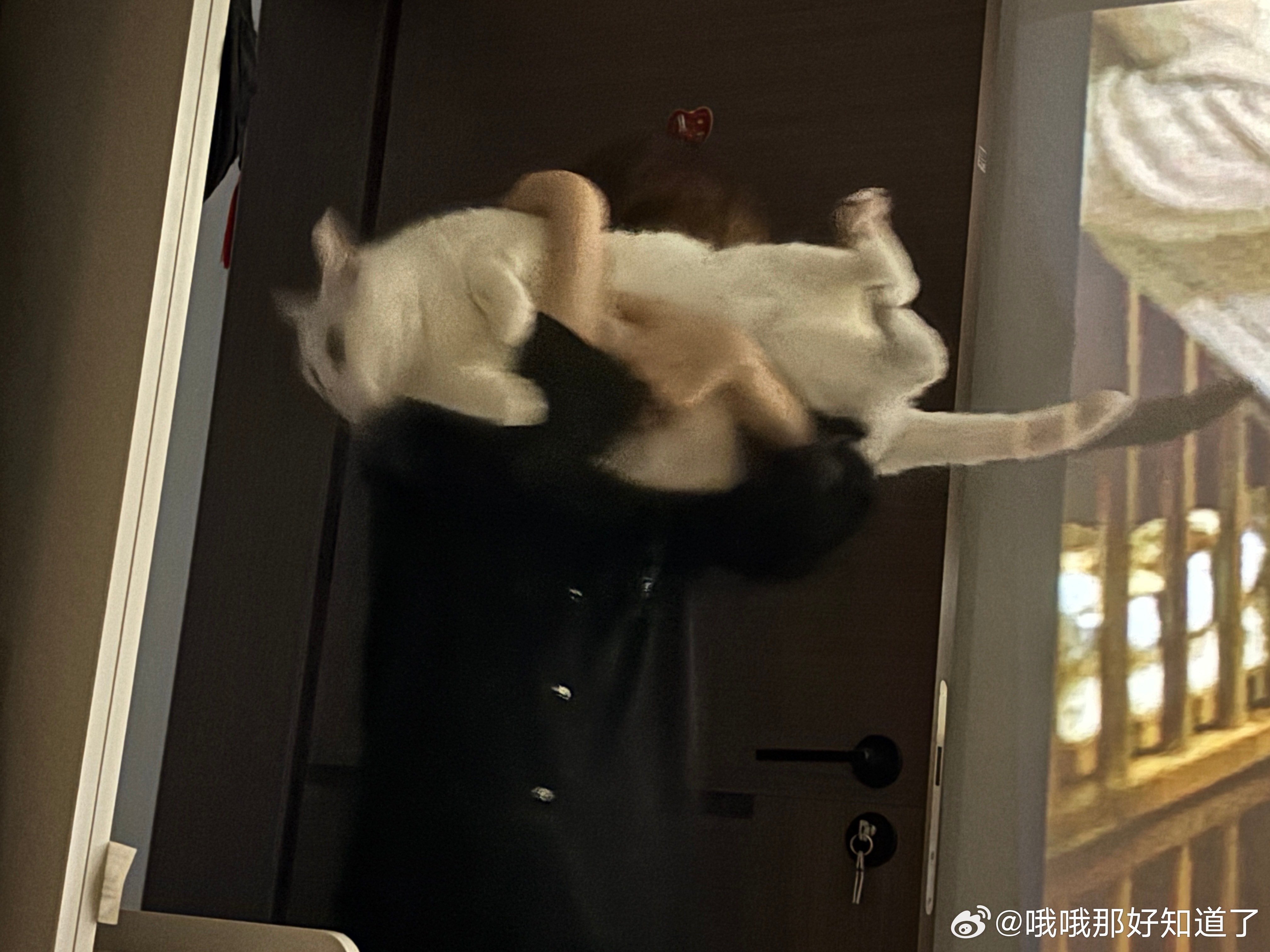 因为感觉很可爱这边也想发 前几天还没表白心迹的时候因为别的事情很生气 大老师一直