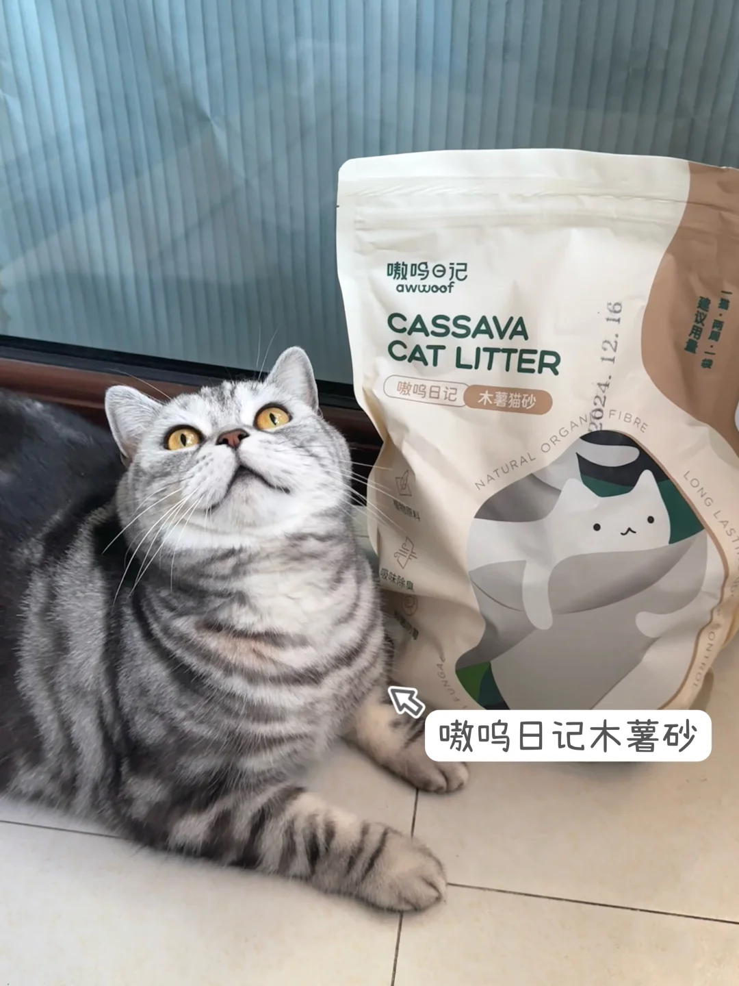 终于找到好用的猫砂了❗️怒囤十袋❗️