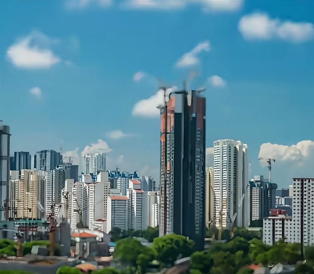 从掏空腰包给儿子在上海买了房，返贫的恐惧攥得心焦虑到几乎窒息。好在儿子视频给足了