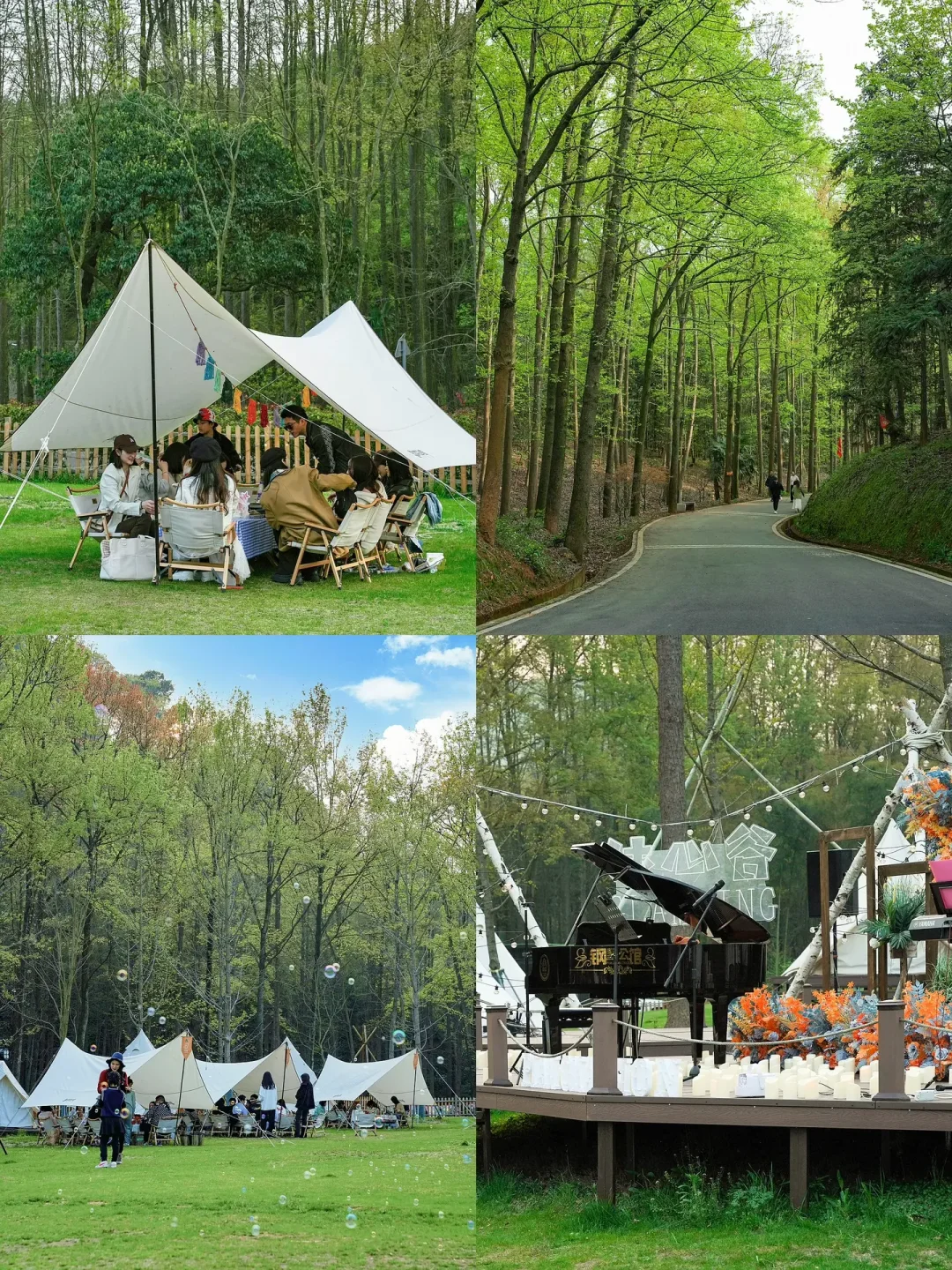 杭州人太会享受了❗️森林露营🏕️烛光音乐会