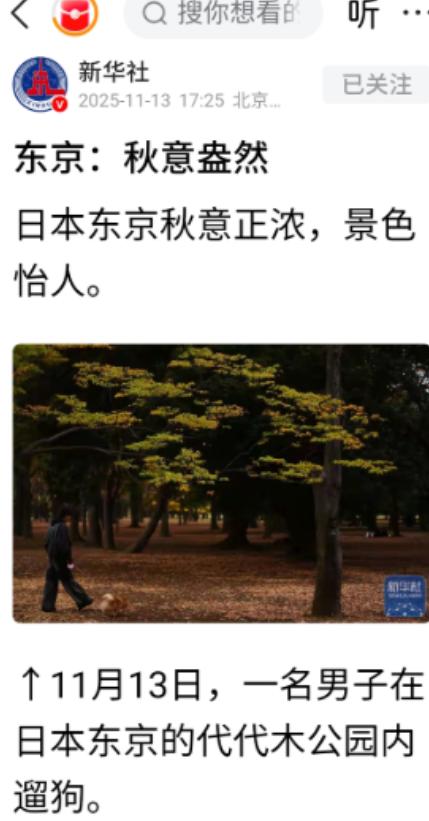 正当全国人民都在批斗日本首相高市早苗之时，新华社突然发了一组日本东京代代木公园的