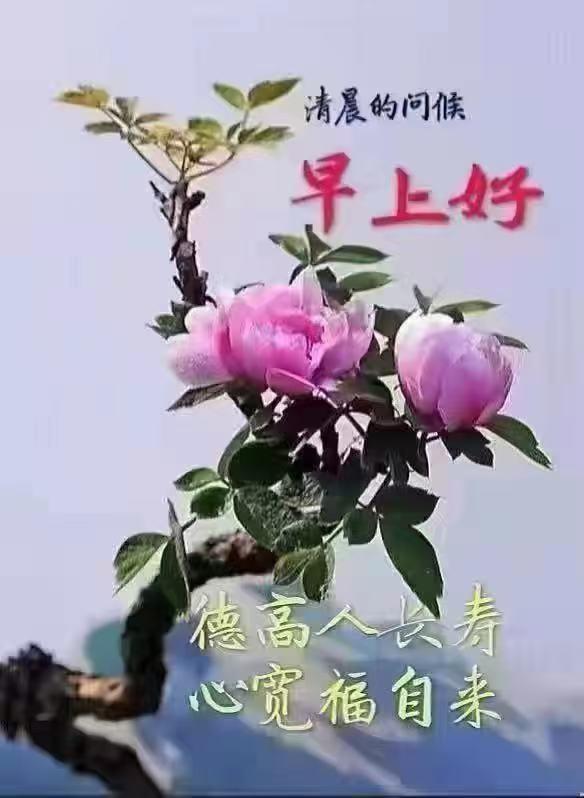 鬼谷子的处世智慧：一，改命：靠选妻。二，立威：靠沉默。
第三，服众：靠果断。
第