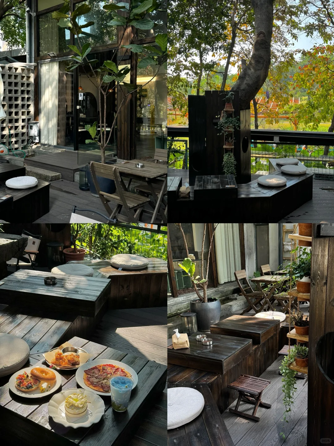 东莞 | 每次晒太阳都想来这里，发呆一下午
