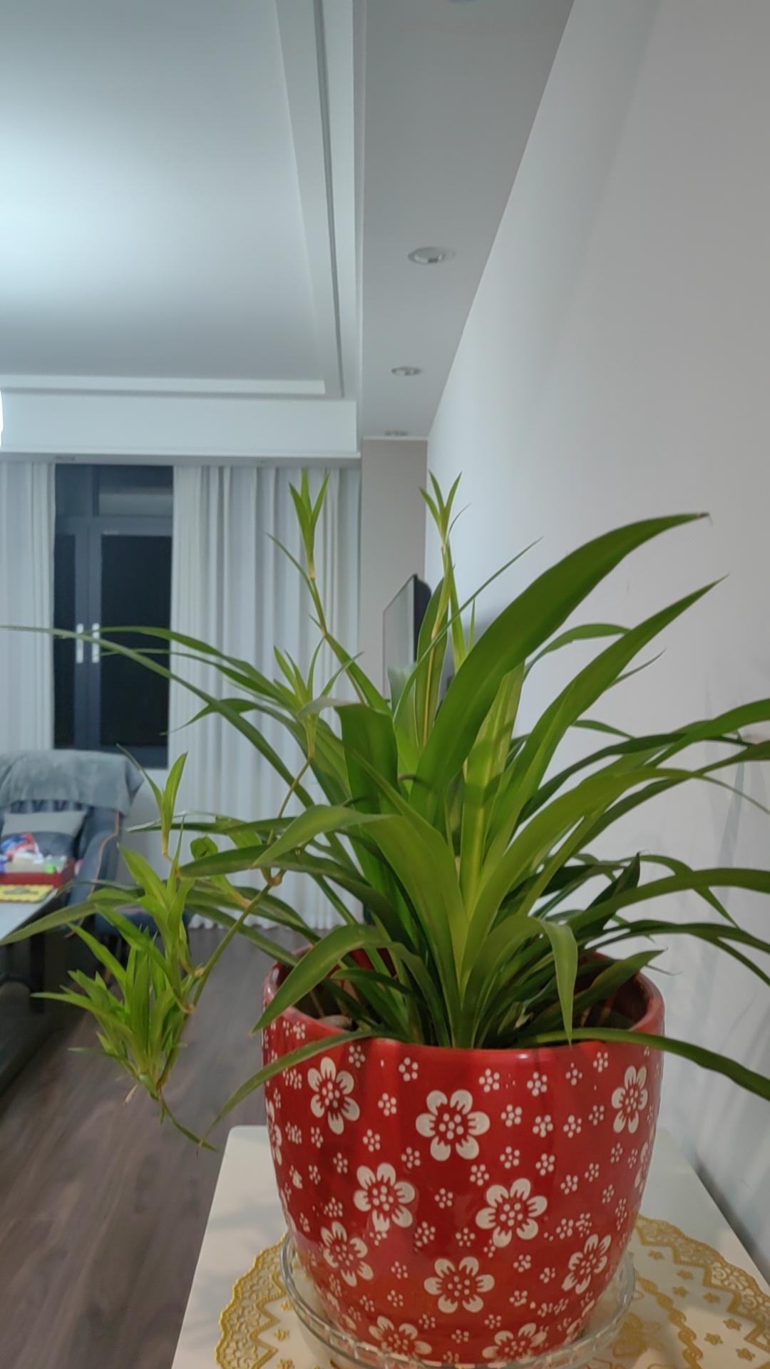 最苦的不是药，不是咖啡，是我们的生活，好想给生活加点糖