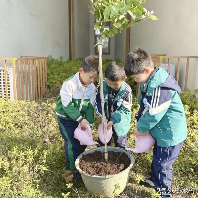 3月11日汉中市滨江第二幼儿园开展了“‘植’一抹绿色  溢一片春光”植树节主题活