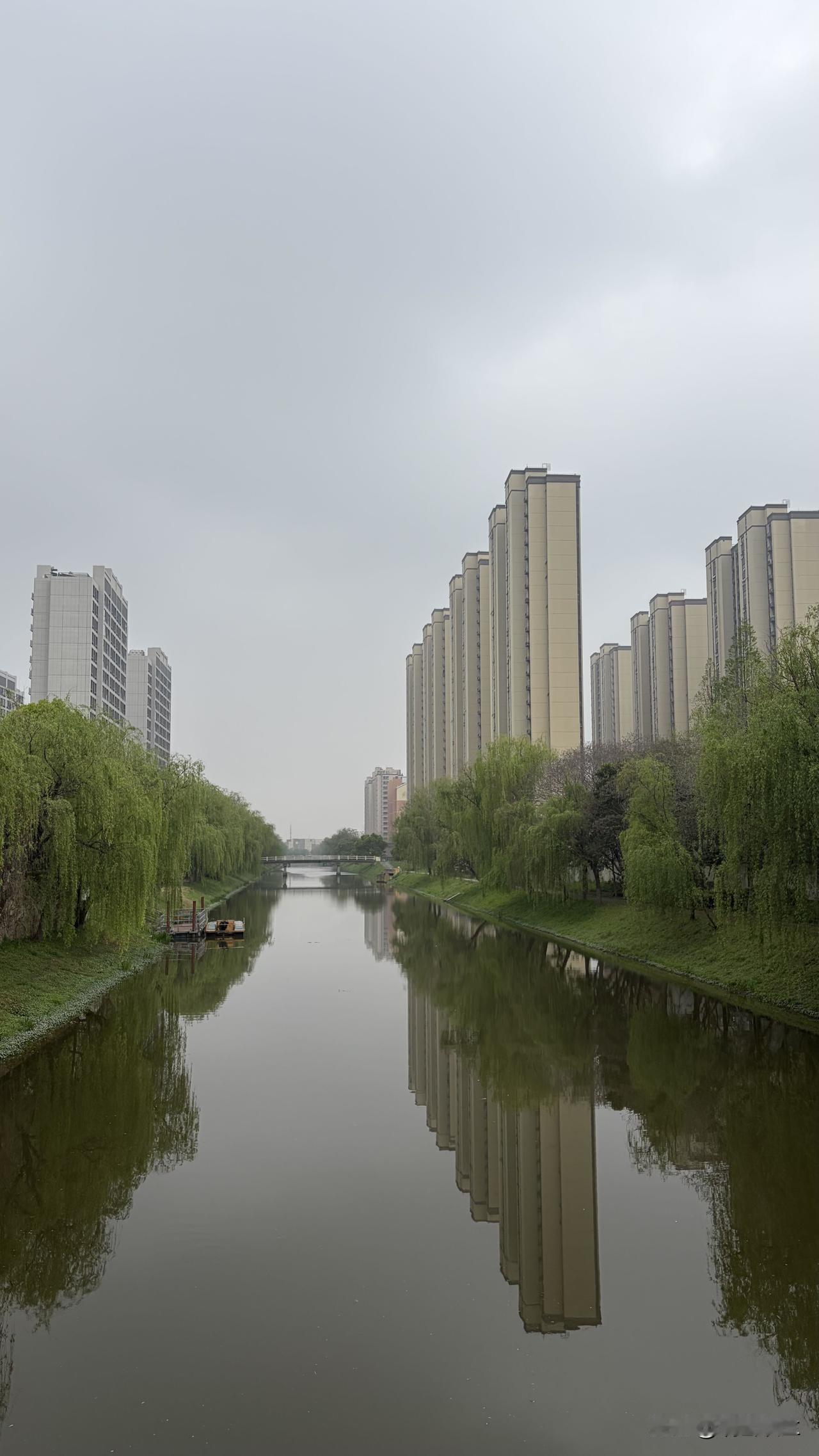 在电梯里，遇到了多年未见的老邻居。让我惊讶的是，居然比前几年白净了许多。


这