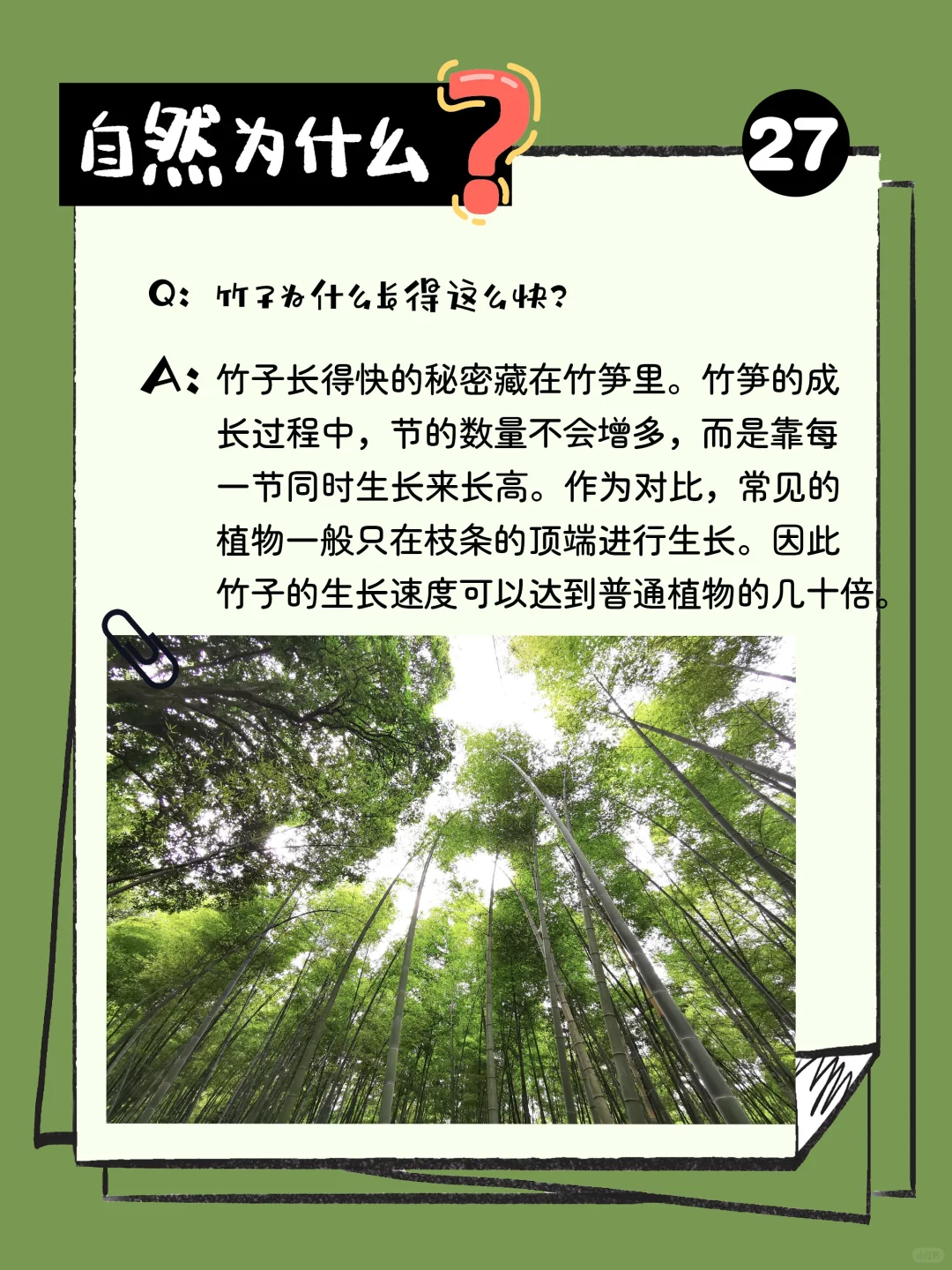 自然为什么｜神奇植物有话说 ②⑦