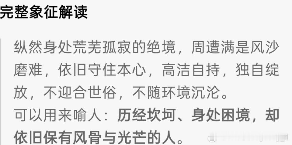 《PORT港口》鞠婧祎九月刊沙漠中的一朵优钵罗花做沙漠里的优钵罗花，不问周遭荒芜