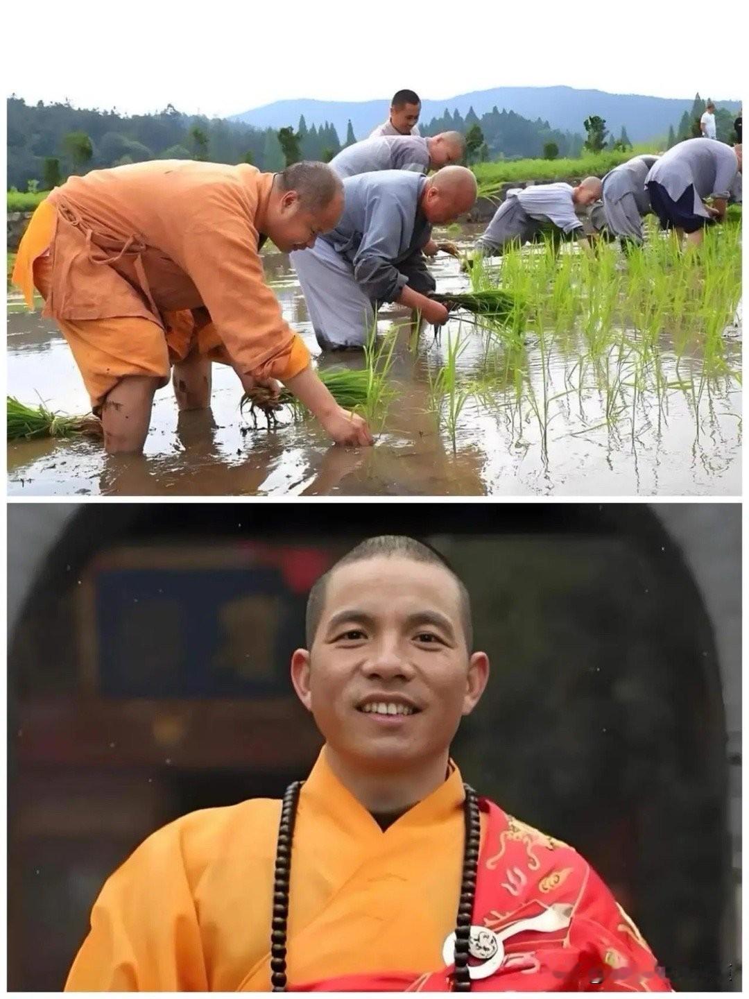 少林寺换了方丈，大家都知道。
可是换了方丈以后 ，不知道为什么？
许许多多的和尚