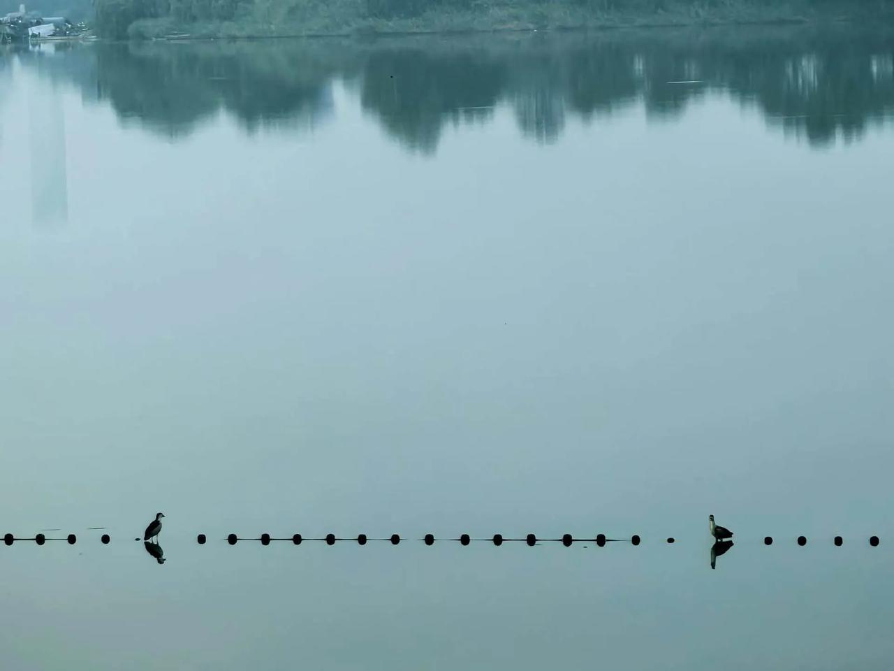 曹县八里湾风景区随拍