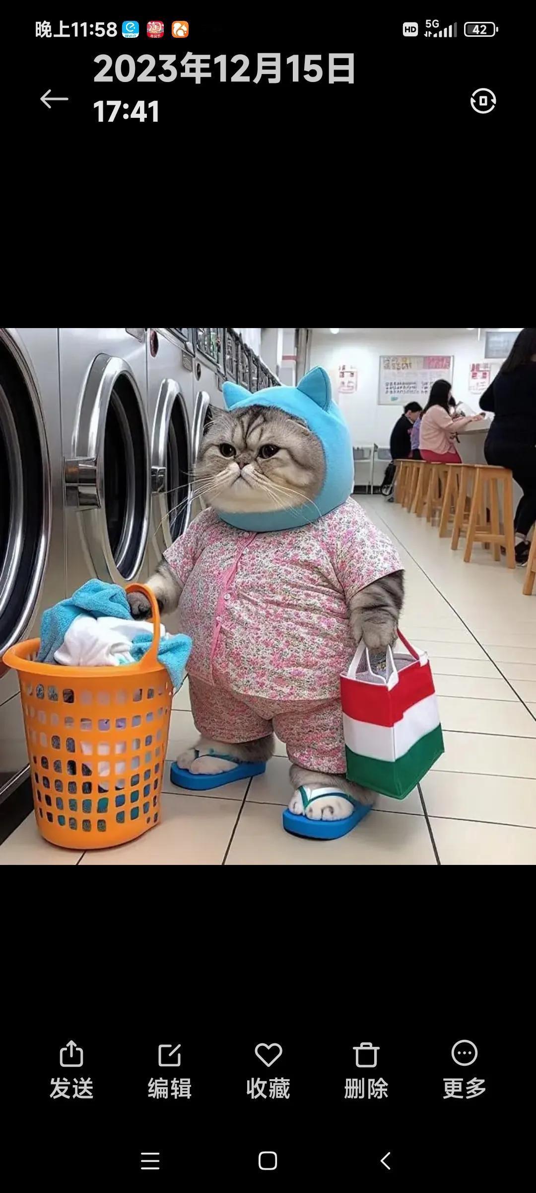 #晒出你家的猫主子#
没猫！不喜欢养猫，猫太高冷！
网上下了很多很可爱的，但不是