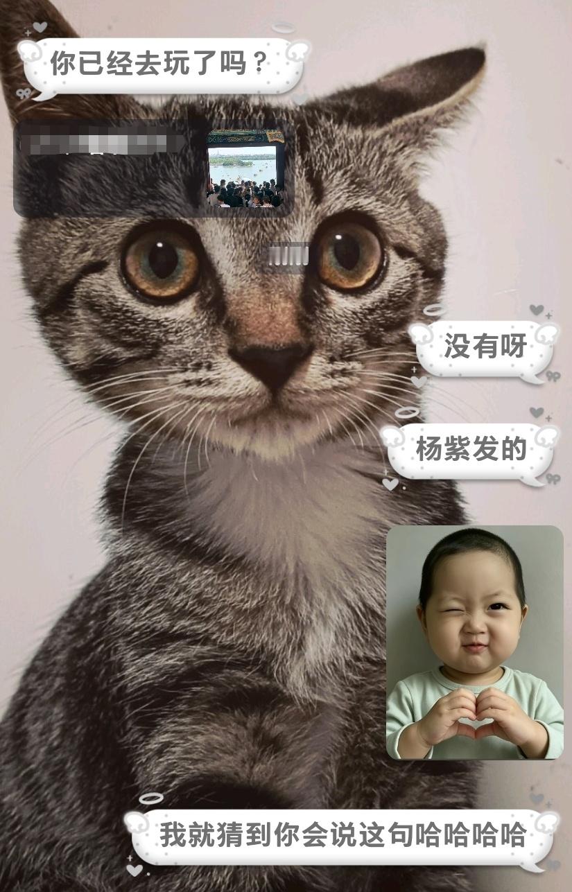 神之预判。