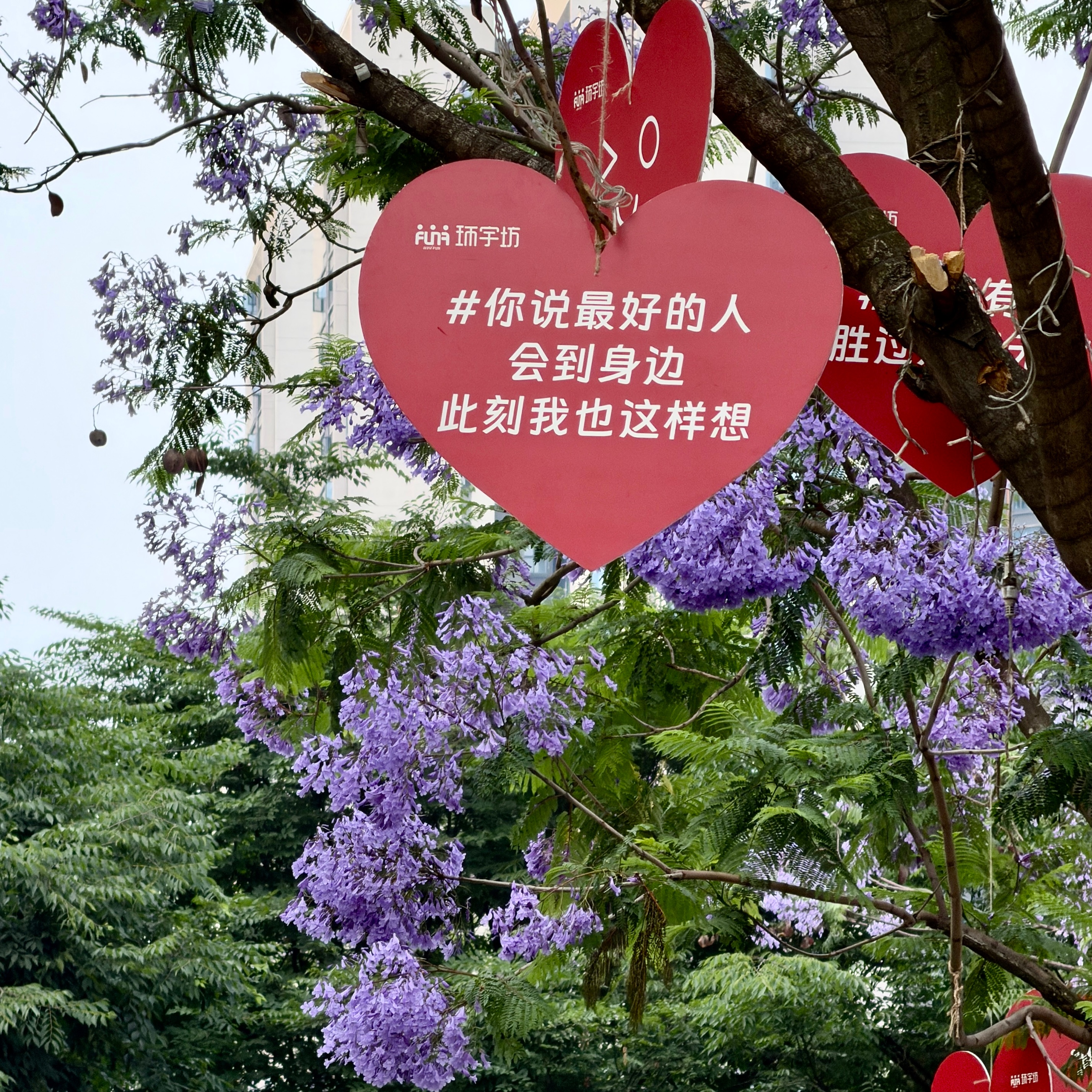 分享图片 成都·中海天府环宇坊