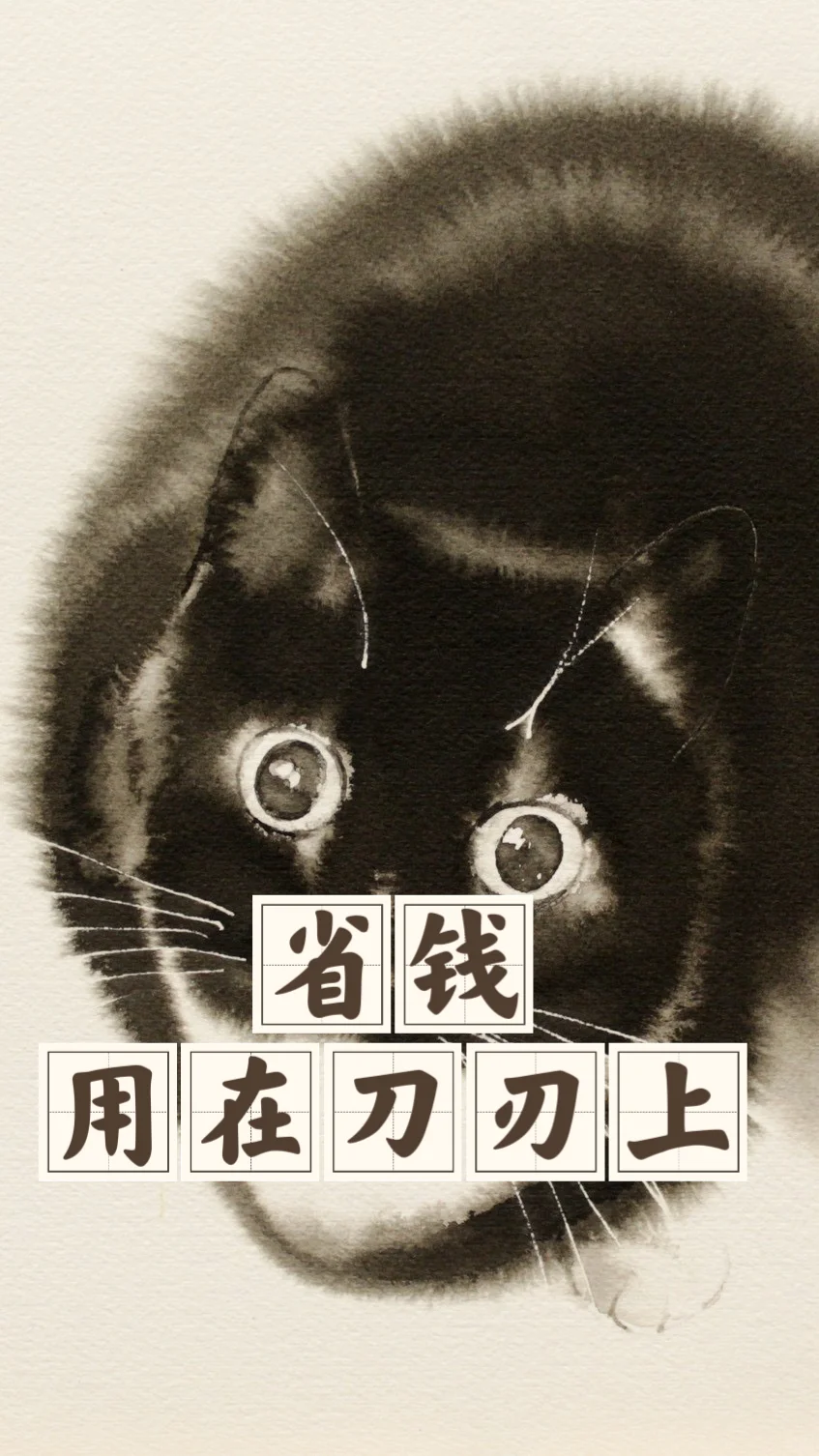 省钱经554:不乱买，把钱用在更喜欢的事物上