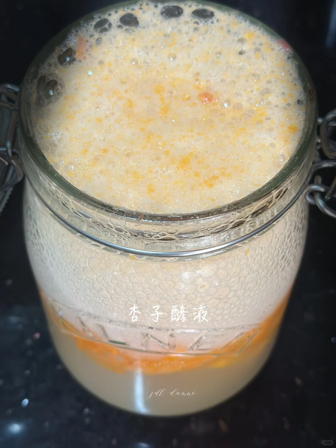 夏天的幸福酵液｜杏子酵液