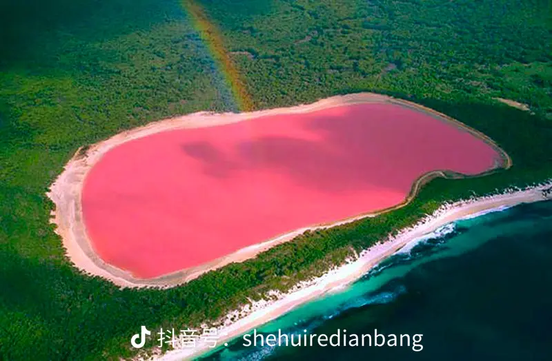 世界上最后一个粉红湖 ——澳州希利尔湖。希利尔湖位于澳大利亚西部洛切切群岛最，因其粉色湖水的浪漫成为引人注目的旅游胜，根据研究人员最新研究，因为湖水存在嗜盐极端微生—盐生杜氏藻，是导致水质变成粉色的主要原因。