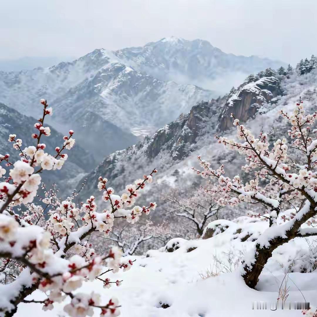 梅香入雪成诗句，
竹节离根变画图。
横批：《梅香与竹节》