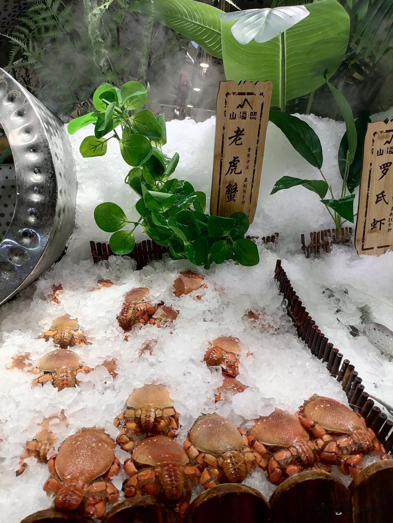 夏日生活打卡季夏日炎炎，海产品餐厅却受到了欢迎，这里空气清新，凉爽宜人，然而，价