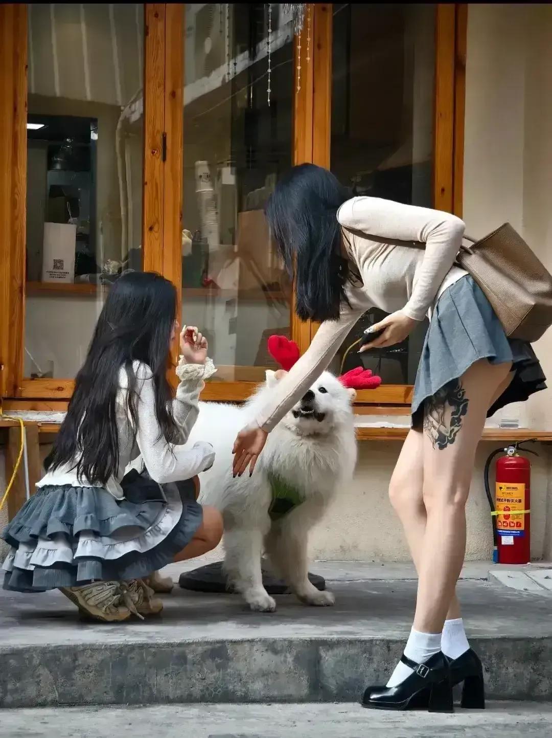 #天南地北大拜年#新年发大财