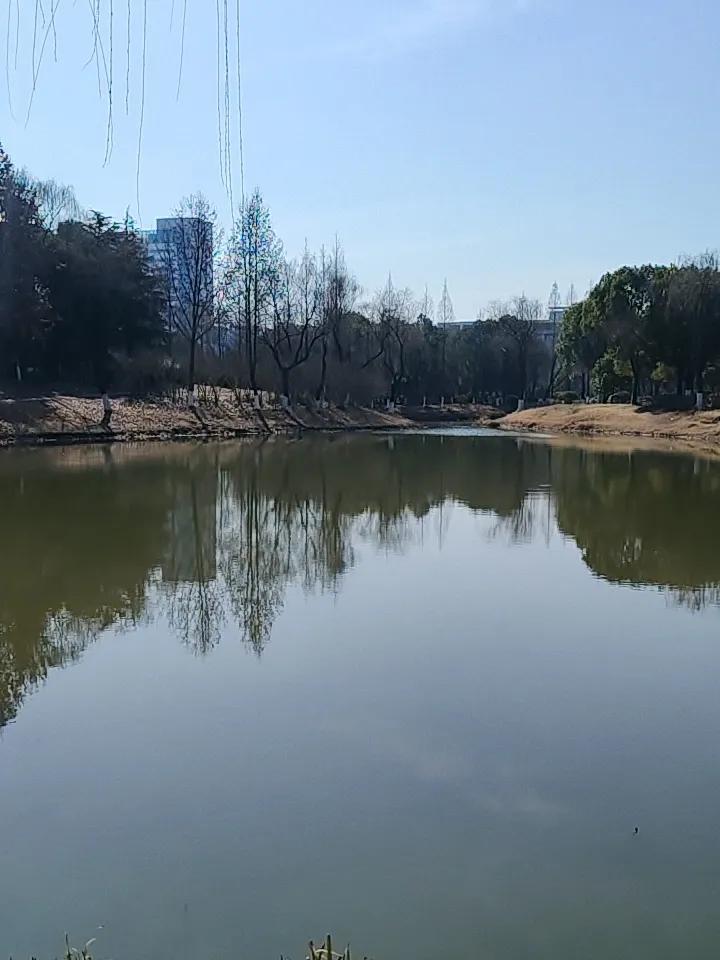 过年的时候你开心吗？开学