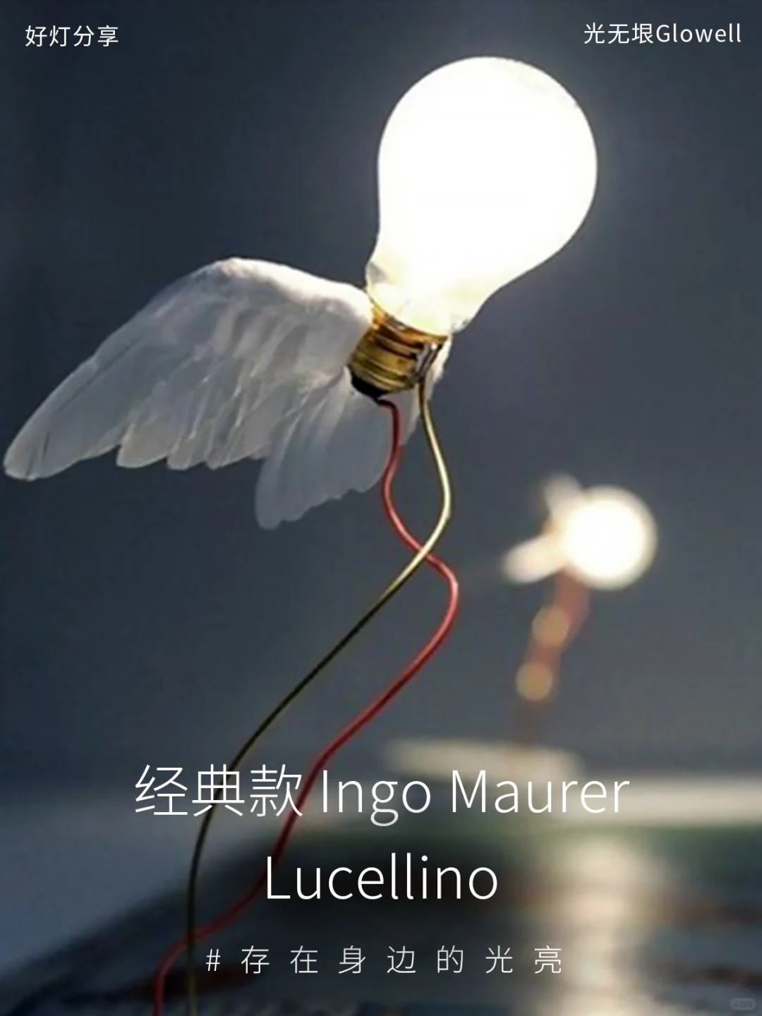 经典款💡 | 灯具大师Ingo Maurer小鸟灯