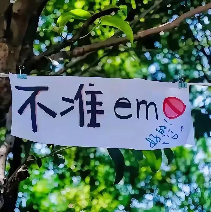 雨过天晴，阳光甚好～

一大早勤快点，
床单枕套扔进洗衣机。

水放了会，猛然想