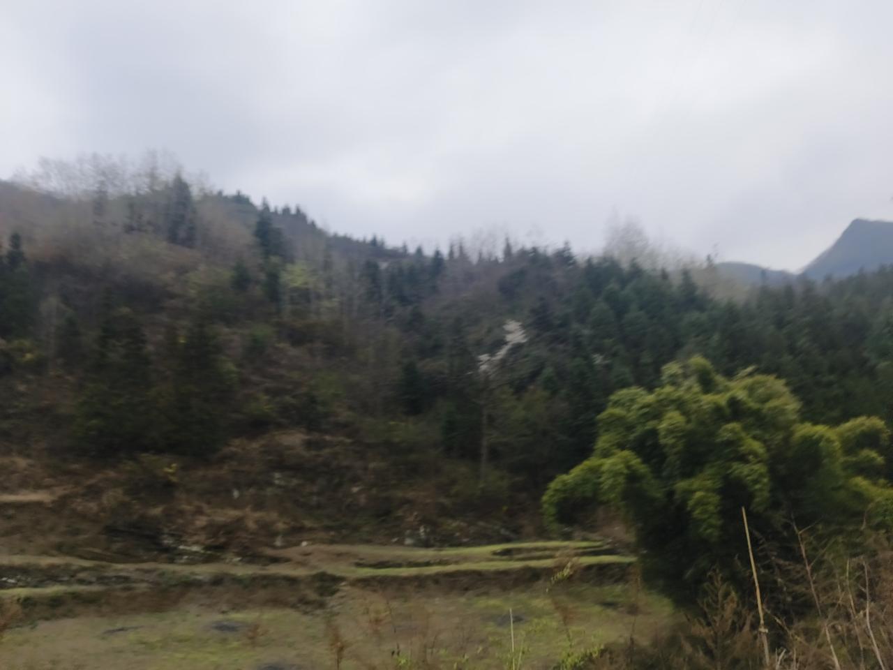 敖德萨能和平回归俄罗斯吗？
     敖德萨是否会以和平方式回到俄罗斯，目前充满