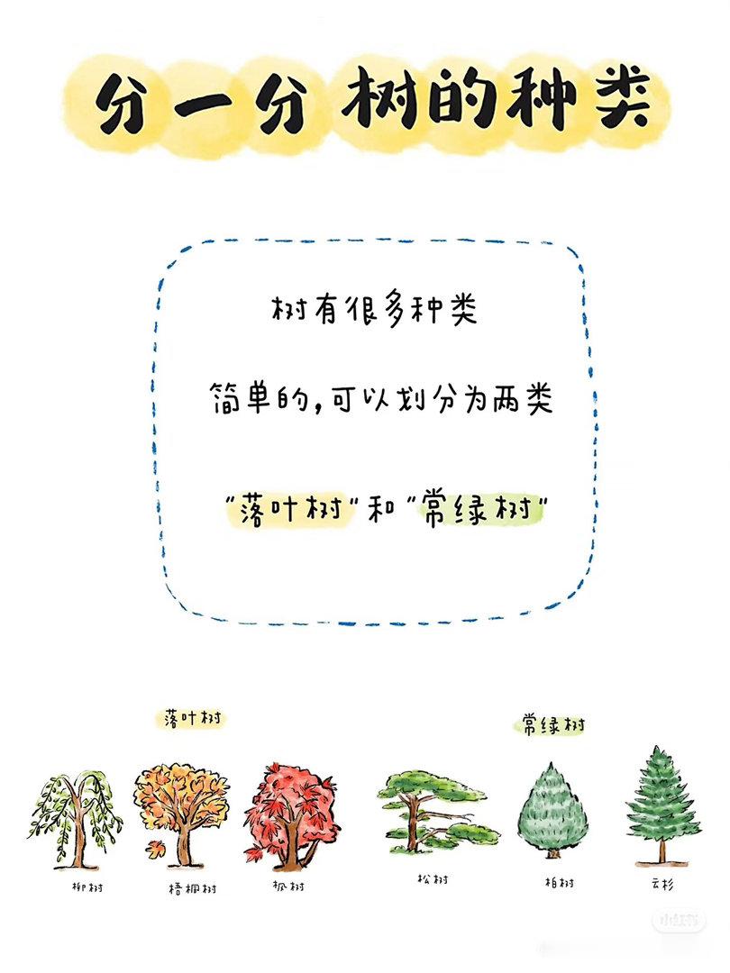 自然科普｜树木树木是木本植物的总称，对人类的生活有很大的好处。它们通过光合作用吸