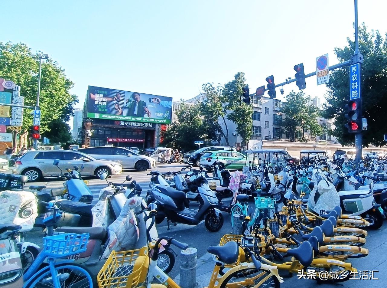 城市是我家，魅力靠大家，美丽的大郑州，花园路的道路景观就像一个大花园，紫荆山转盘