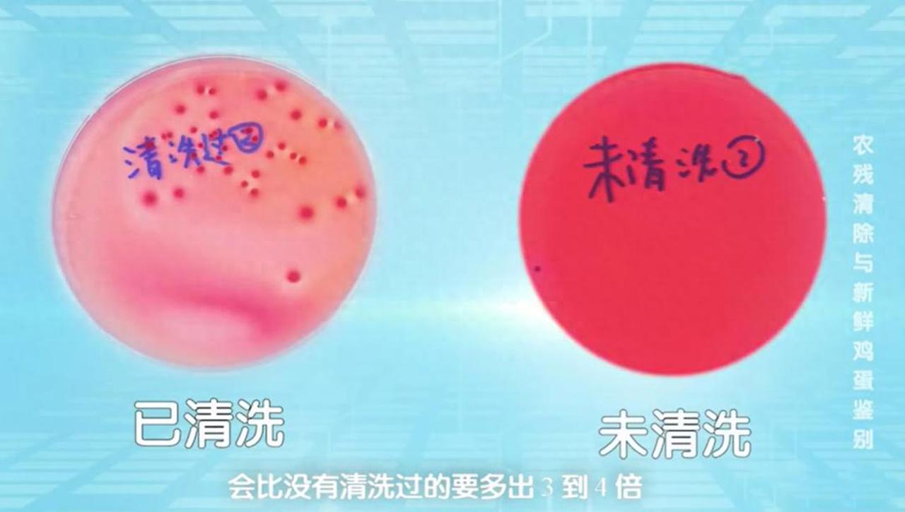 一家三口吃水洗鸡蛋集体中毒！吃鸡蛋踩坑，中毒该怎么维权
 
大家好，我是安剑律师